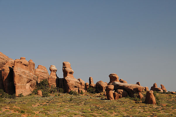 DSC_1766.jpg (4288x2848) NIKON D300 - 18-200mm f/3.5-5.6 // F10 // 1/400 sec // ISO 400 // 48,0 mm // no Flash // 2008:07:10 09:05:11 DSC_1766.jpg (4288x2848) NIKON D300 - 18-200mm f/3.5-5.6 // F10 // 1/400 sec // ISO 400 // 48,0 mm // no Flash // 2008:07:10 09:05:11